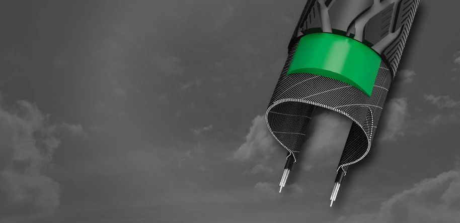 Schwalbe Marathon 2 Schwalbe Marathon - Image 2