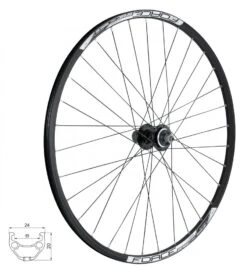 Force Basic Disc CL 29"