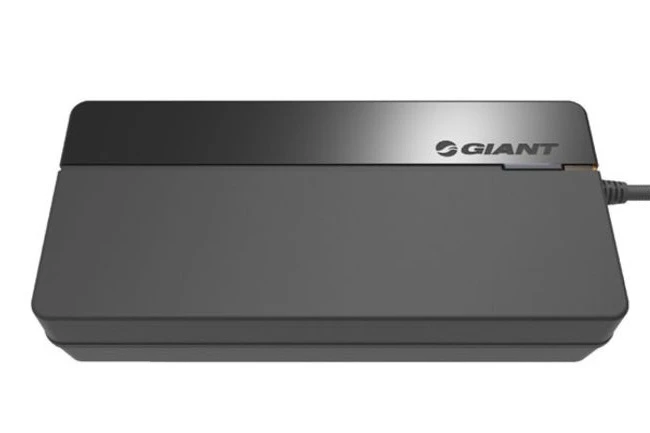 Giant EnergyPak Smart Charger 1 Giant EnergyPak Smart Charger