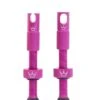 Peaty´s Chris King MK 2 Tubeless Valves - Punch